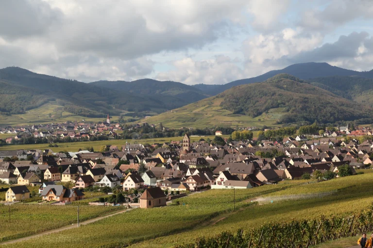 Alsace vue sur nature vins tappe