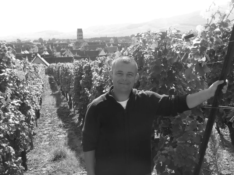vigne colmar de sigolsheim vins tappe
