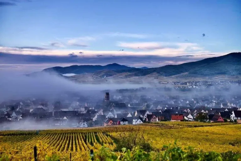 vue d'Alsace tappe