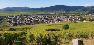 vue chateau kaysersberg alsace vins tappe