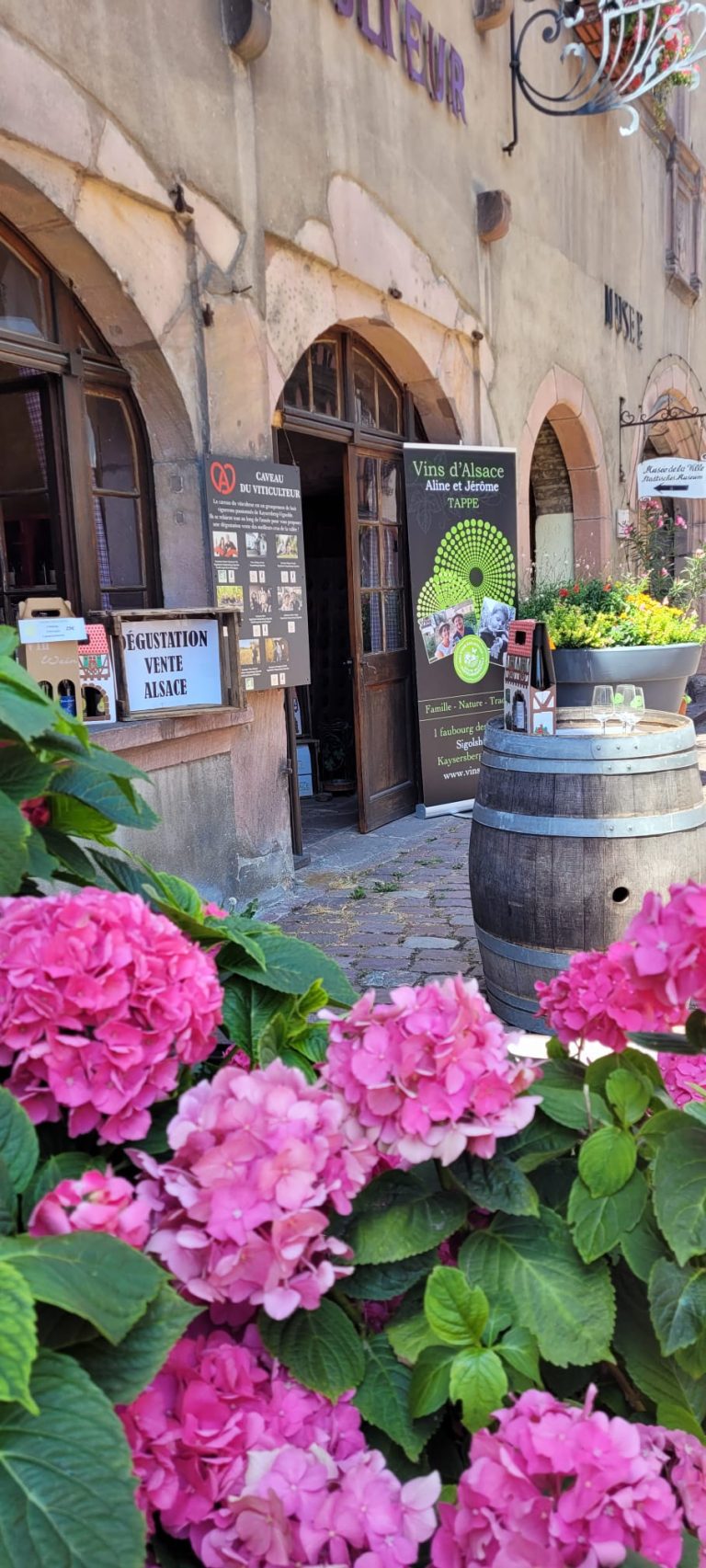 Caveau à kaysersberg vins tappe