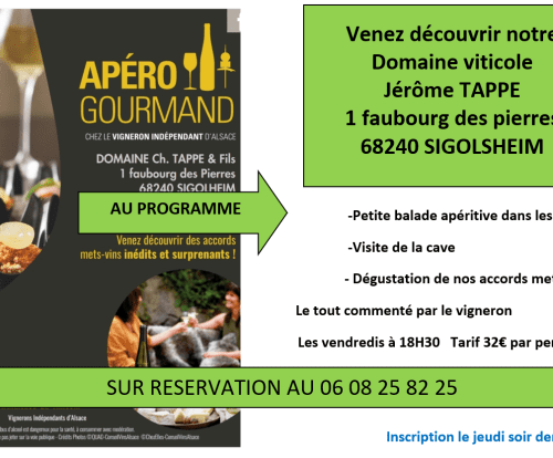 Découvrez notre domaine viticole avec notre apéro gourmand