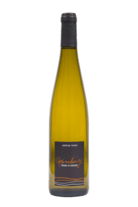 Pinot Gris Terre d'Argile